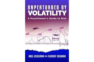 Unperturbed By Volatility: A Practitioner's Guide To Risk