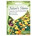 Produktbild Unwins Naturen Haven Calendula Lange Blühende Mischung-Samen