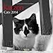 Katzen - Cats 2014 by
