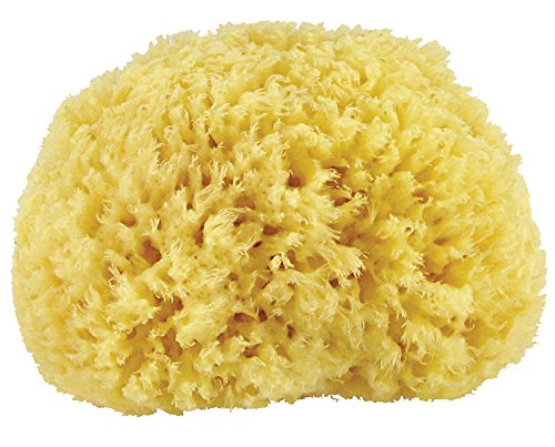 Premium Quality Natural Sea Sponge (Approx. Diameter 13cm)