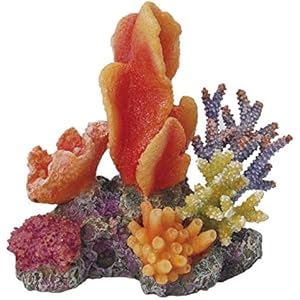 Haquoss Reef Dream 3, 11x 8.5x 11.5H cm