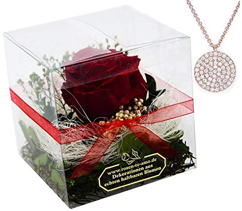 Rosen-te-amo GSF-RPXRE-001 Infinity Flower and Composition - Flores duraderas, Color Rojo, Rot - Standard mit Halskette + Anhänger, Rosen-Box