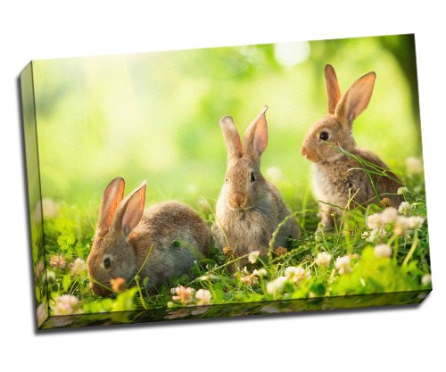 Rabbits Art Design Of Cute Little Easter Bunnies In The Meadow Canvas Art Print Poster 30"X 20" Inches