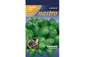 FRANCHI SEMENTI SPA BASILICO ITALIANO CLASSICO A NASTRO