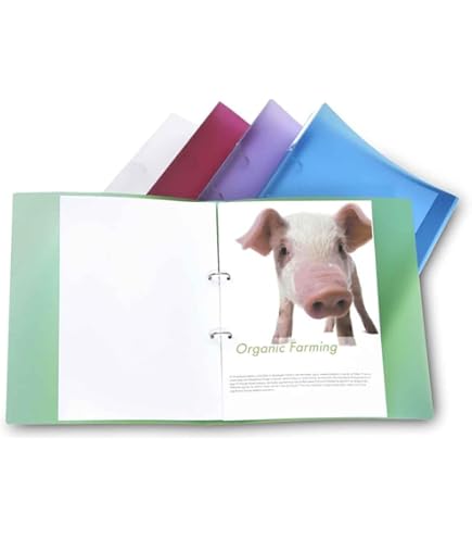 Rapesco 0915 Carpeta De Fundas Con 10 Fundas, A4, Colores Surtidos, 10