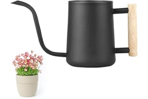 LAISHUNHE 1L Gießkanne Indoor Giesskanne Edelstahl Gießkanne Klein Gießkanne für Zimmerpflanzen Sukkulenten Mini Gießkanne Schwarz Gartengießkanne Blumengießkanne 34Oz