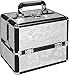 Professional Large Beauty Vanity Cosmetic Makeup 9 compartment Case Box Storage Aluminium (Silver Rose)