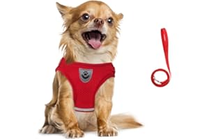FEimaX Arnés Perro Pequeños y Correa Reflectante Ajustable Antitirones Arnes de Malla Transpirable para Cachorros y Gatos, Cómodo Chaleco Acolchado de Perros para Correr Caminar