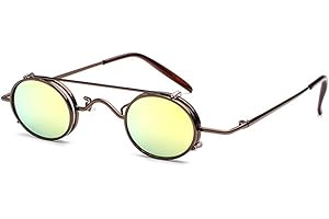Juleya Retro Vintage Sonnenbrille Damen Herren Kleine Runde Steakpunk Abnehmbare Sonnenbrille
