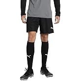 Puma Teamliga Shorts - Men's Shorts