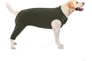 PUMYPOREITY Dog Suit for After Surgery, Body Suit Dog Surgical Suit Vest after Surgery Female Neutering Recovery Suit Male Dog Leg Bandage Protector(Moss-green, XL)