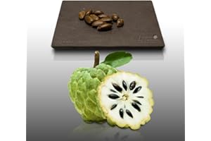 LE GRENIER D'ABONDANCE LES GRAINES QUI DONNENT ENVIE 10 Grines à semer - Le Grenier d'Abondance - ATTIER - Annona Squamosa