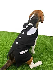 DOG-O-BOW Black Color Tuxedo Wrap ( X-Large )