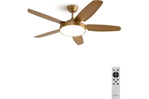 CREATE / WINDLIGHT FLAT DC/Ventilatore da soffitto con luce, motore DC oro/Silenzioso, timer