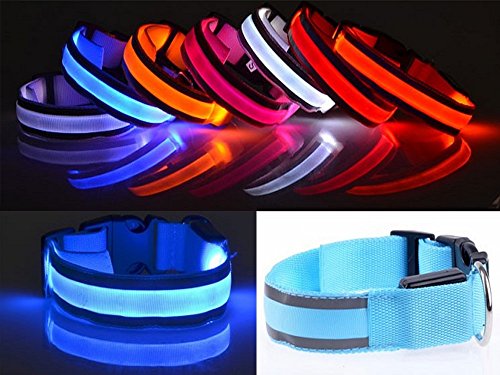 High-Visability-USB-Rechargeable-LED-Dog-Safety-Collar-3-Mode-Setting-Medium-Blue
