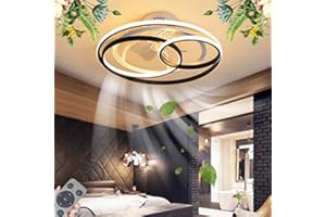 AHQX Ventilatori Da Soffitto LED Con Illuminazione Dimmerabile Moderno Fan Plafoniera Lampada Da Soffitto Ultra Silenziosa Ventilatore Invisibile 3 Velocità Paralume Acrilico Fan Lampadario,53CM/50W