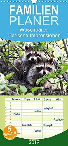 Waschbären - Tierische Impressionen - Familienplaner hoch (Wandkalender 2019 , 21 cm x 45 cm, hoch): 12 bezaubernde Bilder von niedlichen Waschbären (Monatskalender, 14 Seiten ) (CALVENDO Tiere)