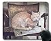 Produktbild Mauspad, Pet Stare Katze Mauspad, Mauspad für Computer cat187