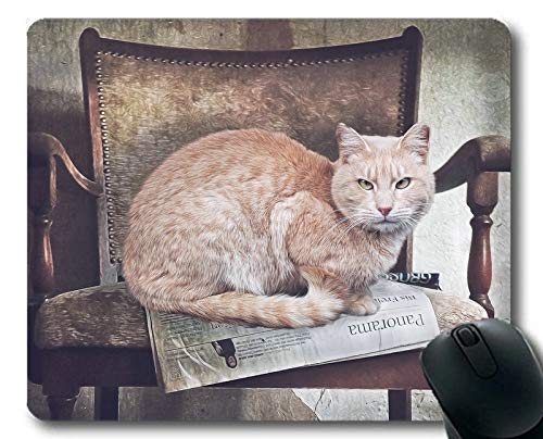 Preisvergleich Produktbild Mauspad, Pet Stare Katze Mauspad, Mauspad für Computer cat187
