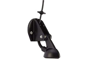 Raymarine Cpt-S Transductor