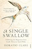 Image de A Single Swallow: Following An Epic Journey From South Africa To South Wales