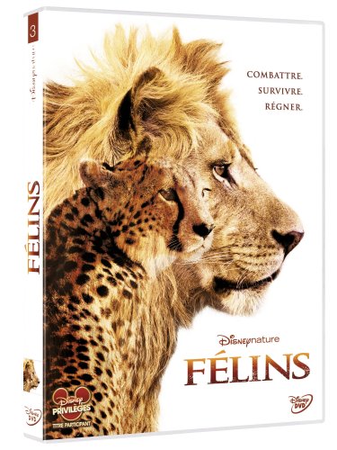 couverture de : F&eacute;lins