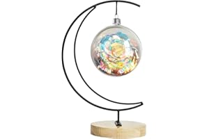 Fosinz Espositore ornamentale in ferro da appendere ganci per appendere globo di vetro aria pianta terrario palla ornamento natalizio decorazione domestica matrimonio