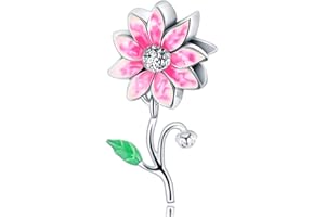 LNQOBU Perles Charms Argent Sterling 925 Breloque Pendentif Bead pour Européen Bracelets et collier Cadeaux pour les femmes