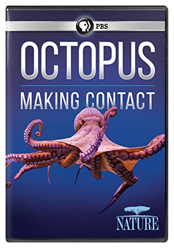 Nature: Octopus - Making Contact [Edizione: Stati Uniti]