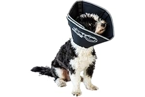 All Four Paws „The Comfy Cone“ Halskrause für Haustiere, XL (1er Pack)