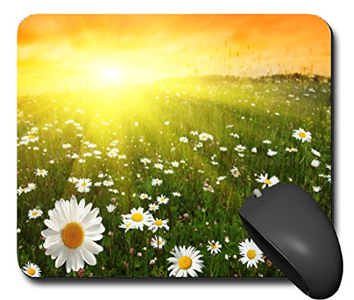 Mauspads Mouspad Mausunterlage Natur Wiese Blumen Liebe schönes Design schick NEU 100MPN2606