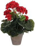 Geranio rojo pvc en maceta plastica gris, alta calidad, efecto natural 11,5x33cm