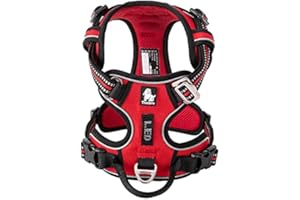 WINHYEPET True Love Harnais pour Chien No Pull Nylon Souple Réfléchissant Réglable pour Petit et Grand Animal Facile à Mettre Réglable avec Harnais pour Chien TLH56512