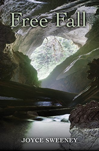 Free Fall (English Edition)