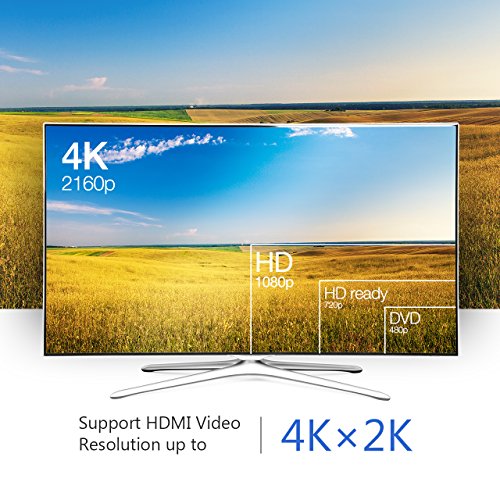 4K Mini DisplayPort auf HDMI, VicTsing Vergoldet Mini DP (Thunderbolt™ Port Kompatibel) zu HDMI Male to Female Kabel HDTV Adapter Konverter | 4K Ultra HD (4Kx2K) / Full HD 1080p ideal für PC & MAC / Notebook / PC-Grafikkarten - 6