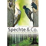 Spechte & Co.: Sympathische Hüter heimischer Wälder