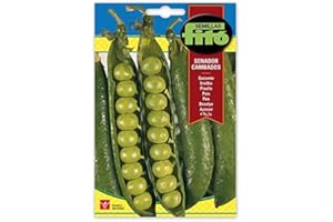 SEMILLAS FITÓ Fitó-Guisante Senador cambados 250 Gr