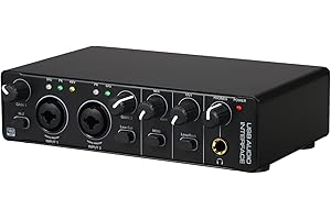 FUNFANG Scheda audio con interfaccia audio USB RHM 2 In 2 Out Audio Interface Sound Board con alimentazione phantom 48 V per la registrazione Mixer audio professionale e preamplificatore microfono porte