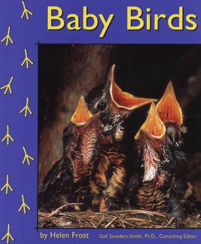 Baby Birds livre