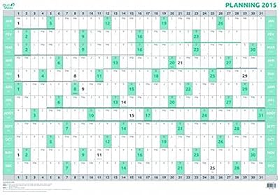 QUO VADIS - 1 PLANNING ANNUEL 2018 - 90x63cm - Ecriture effaçable