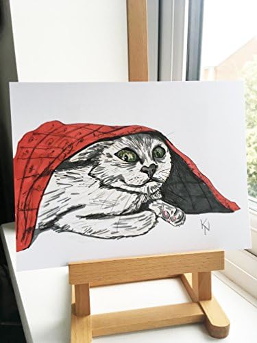 Cat under red blanket Drawing Original Art INK (24x18cm)