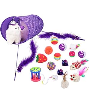 Juguetes para gatos, Legendog 10 piezas Juguete interactivo para gatos con plumas para Kitty