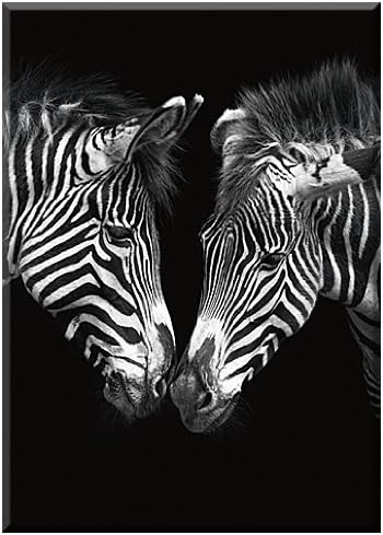 The Near Ness of You, Your By Marina Cano, Size 50 cm X 70 cm, Digital Printing (Giclee) Printing On Canvas, Stretcher Frame, Photographic Art, Zebras, Screen, Finished Picture