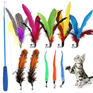 Qpets Cat Toys - Interactive 11 Piece Toy Set with Retractable Teaser Wands and Feather Worm Toys - Variety of Vibrant Colours - Activity Toys to Exercise Cats and Kittens