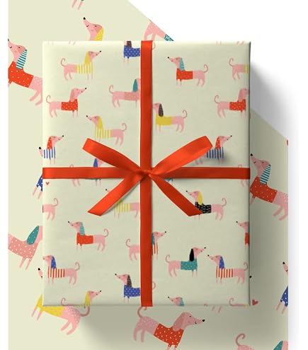 Lottie Murphy - Chicken Birthday Card - 'Happy Birthday Spring Chicken!' - Card for Him or Her - Designed & Printed in the UK - Luxury 300gsm Card - 12.7 x 17.7cm