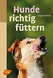 Image de Hunde richtig füttern