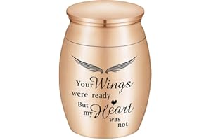 QGJNSGC Small Keepsake Urns for Ashes Mini Cremation Urns for Ashes Memorial Ashes Holder for Pet Ashes Cremation Keepsake
