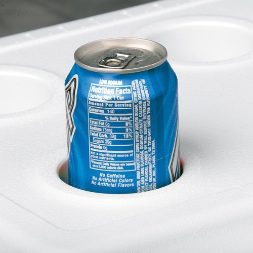 Coleman 6281A718G Kühlbox Poly-lite, 34 Liter (57 x 35 x 37 cm) - 3