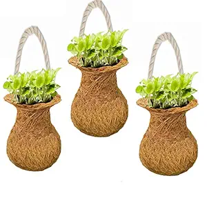 LIVEONCE Plastic Planter Set ,brown ,Large, 3 Pieces
