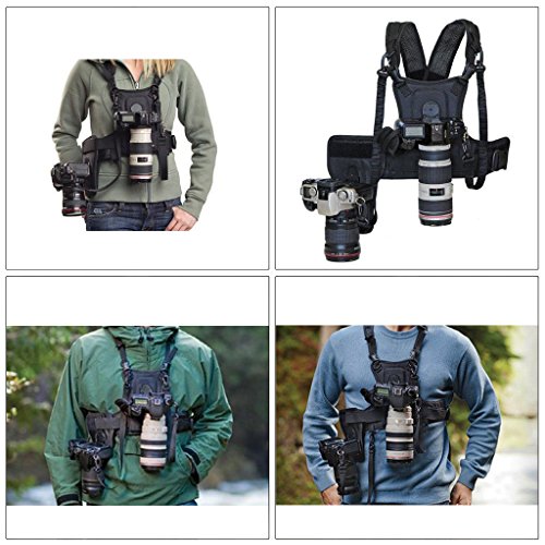 MICNOVA MQ-MSP01 Nouveau Bandouli  re de Transport Photographe Sangle de Poitrine Corps   lastique R  glable avec C  t   Housse de Cam  ra 1 4  Vis pour Canon Nikon Sony DSLR Cam  ra
